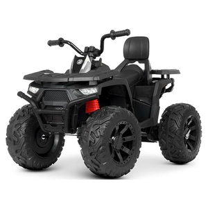 Детский квадроцикл Bambi M 4624EBLR-2(24V)