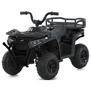 Дитячий квадроцикл Bambi M 6127EBLR-2(24V)