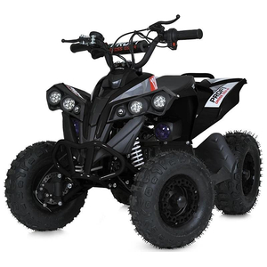 Детский квадроцикл Profi E-XBW-1200-2(MP3)