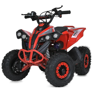Дитячий квадроцикл Profi E-XBW-1200-3(MP3)
