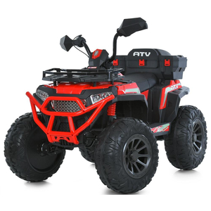 Дитячий квадроцикл Bambi M 6132EBLR-3