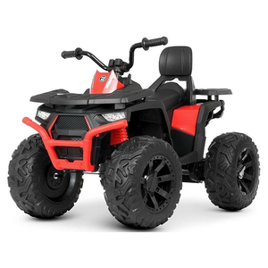 Детский квадроцикл Bambi M 4624EBLR-2-3(24V)