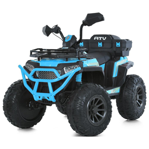 Дитячий квадроцикл Bambi M 6132EBLR-4
