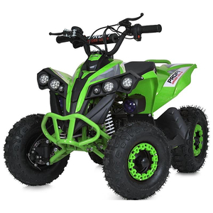 Дитячий квадроцикл Profi E-XBW-1200-5(MP3)