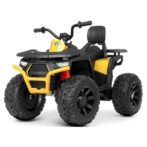 Детский квадроцикл Bambi M 4624EBLR-2-6(24V)