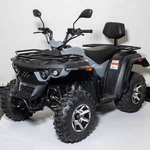 Квадроцикл Linhai M170 Eyas Сірий
