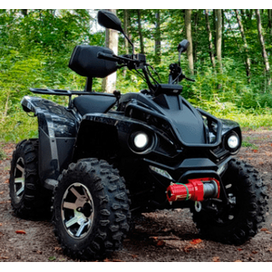 Квадроцикл Linhai Z210 Чорний