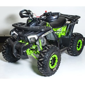 Квадроцикл Orix 150 Графіті
