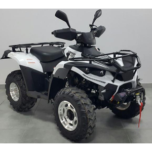 Квадроцикл Linhai-Yamaha LH300-3D 4х4 Білий