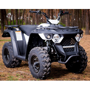 Квадроцикл Linhai-Yamaha 150 Чорно-білий