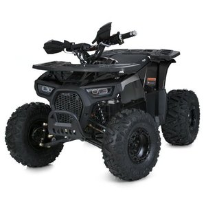 Детский электроквадроцикл HB-EATV1450F-P-2(2)(MP3) черного цвета