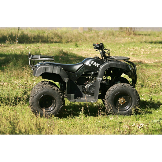 Квадроцикл Skybike Hyper 150 Черный, изображение 6