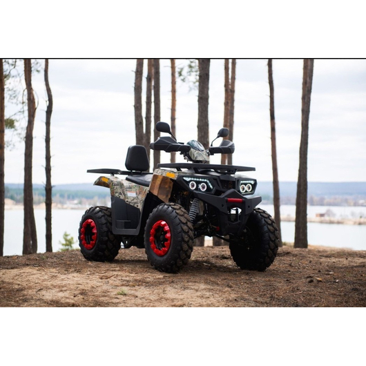 Квадроцикл Comman Scorpion 200 Сафари (2019 год), изображение 2