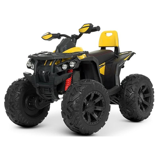 Детский квадроцикл Bambi M 4795EBLR-6