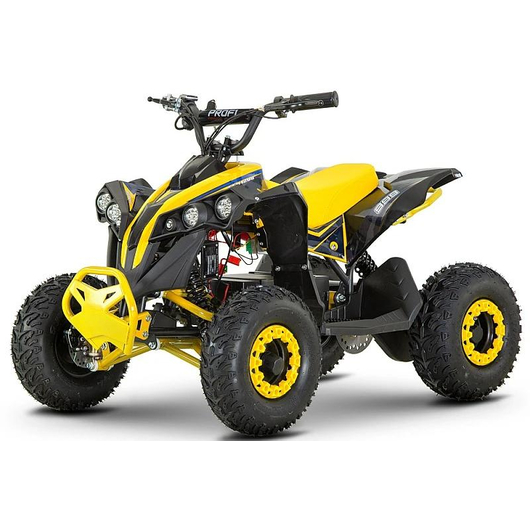 Детский квадроцикл Profi HB-EATV1000Q-6S