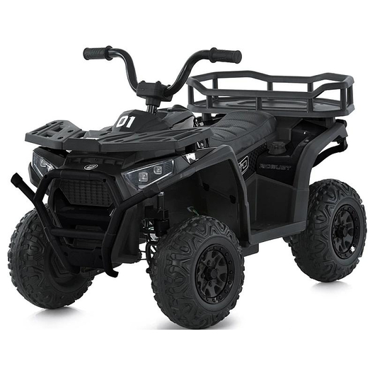 Детский квадроцикл Bambi M 6127EBLR-2(24V)