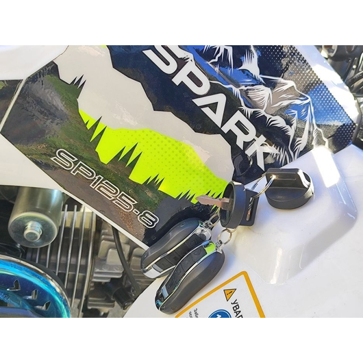 Квадроцикл Spark SP125-8 Белый, изображение 14