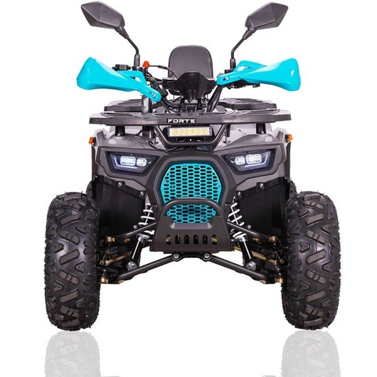 Квадроцикл Forte ATV125P Сіро-блакитний, зображення 24