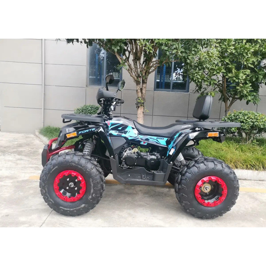 Квадроцикл Forte Shark II 200 Чёрный, изображение 2