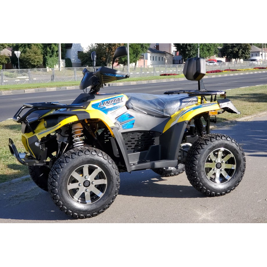 Электроквадроцикл Linhai LH40DA 4000W Жёлтый, изображение 8